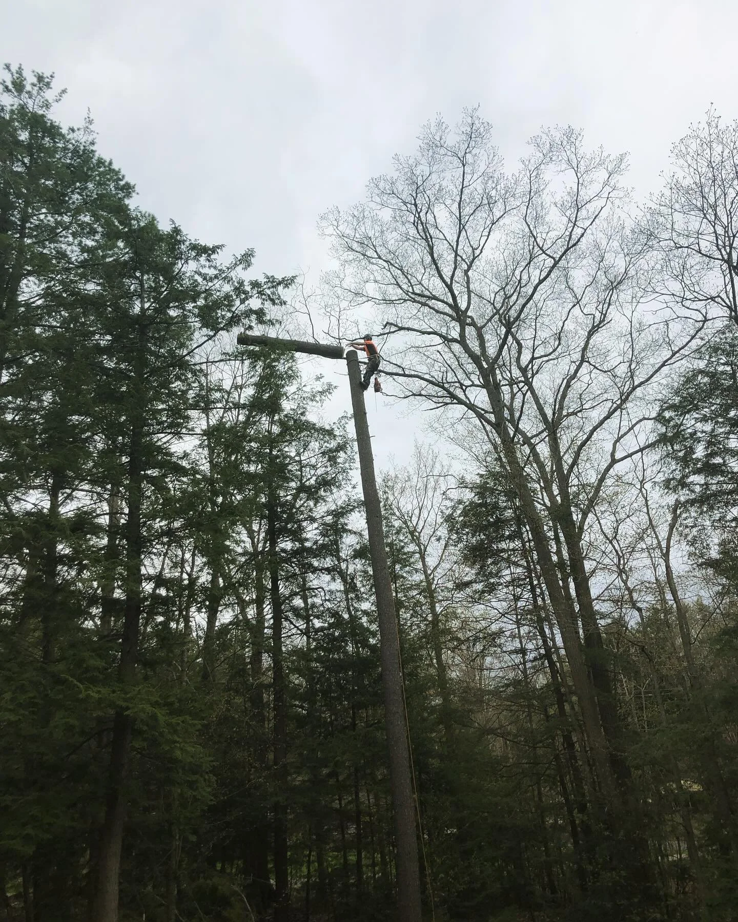 Proudly serving Cavan-Monaghan and the Kawartha lakes.

705-931-0667

🌳