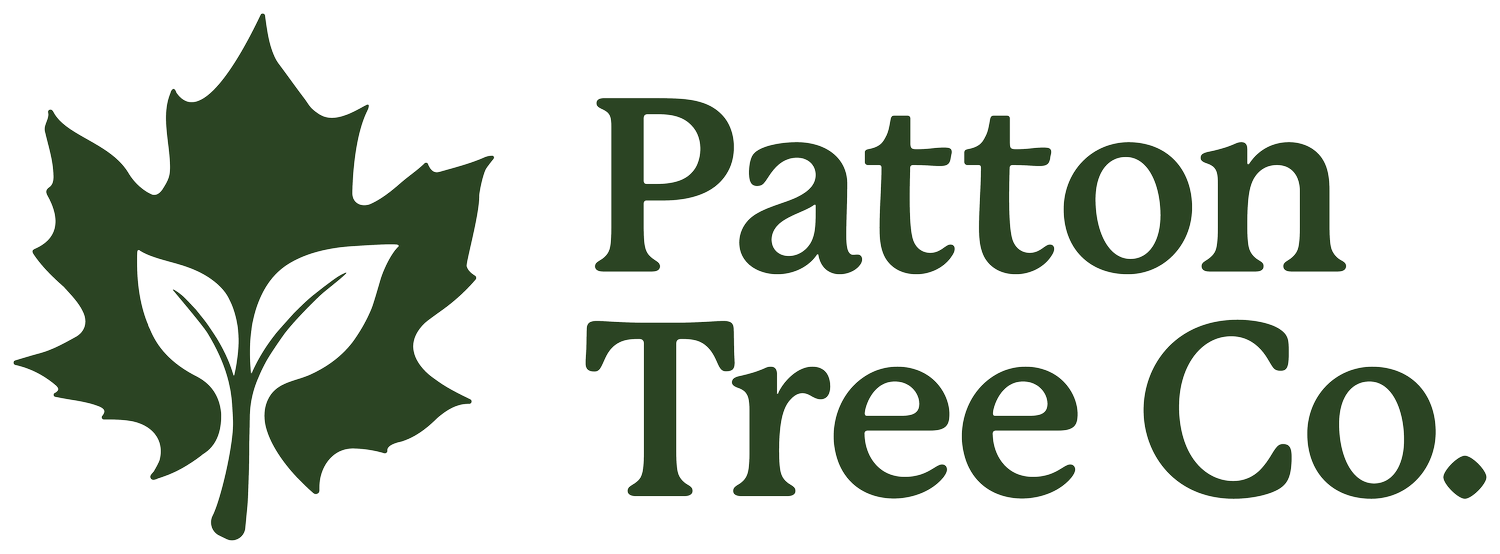 Patton Tree Co. | Tree Services in Kawartha Lakes ON