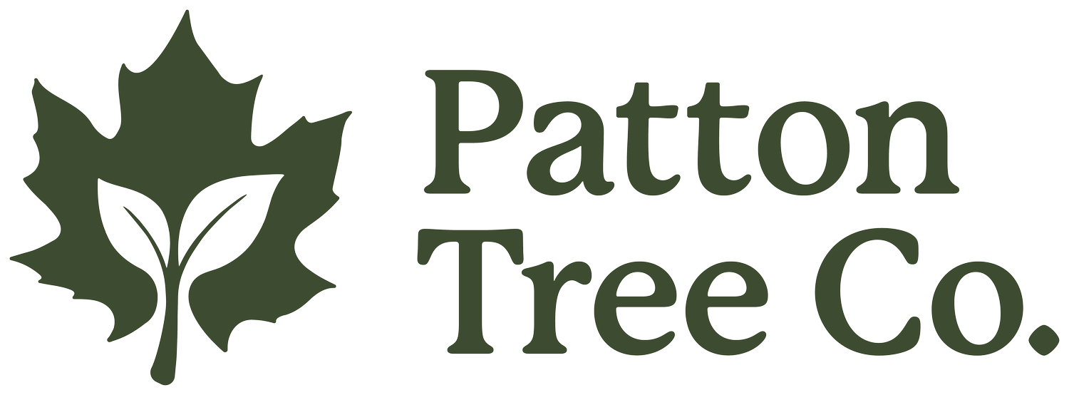 Patton Tree Co. | Tree Service in Kawartha Lakes ON