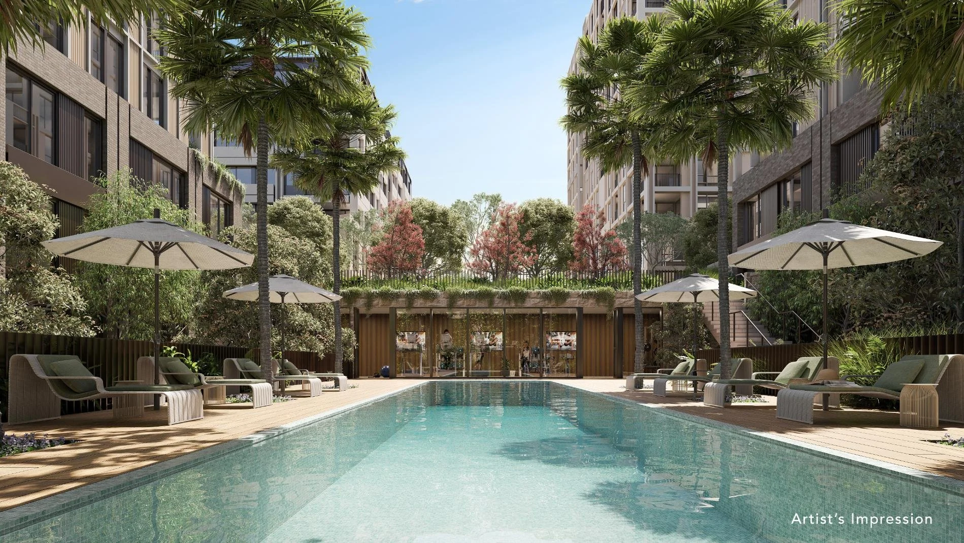Park_Ave_View_2D_Pool Final.jpg