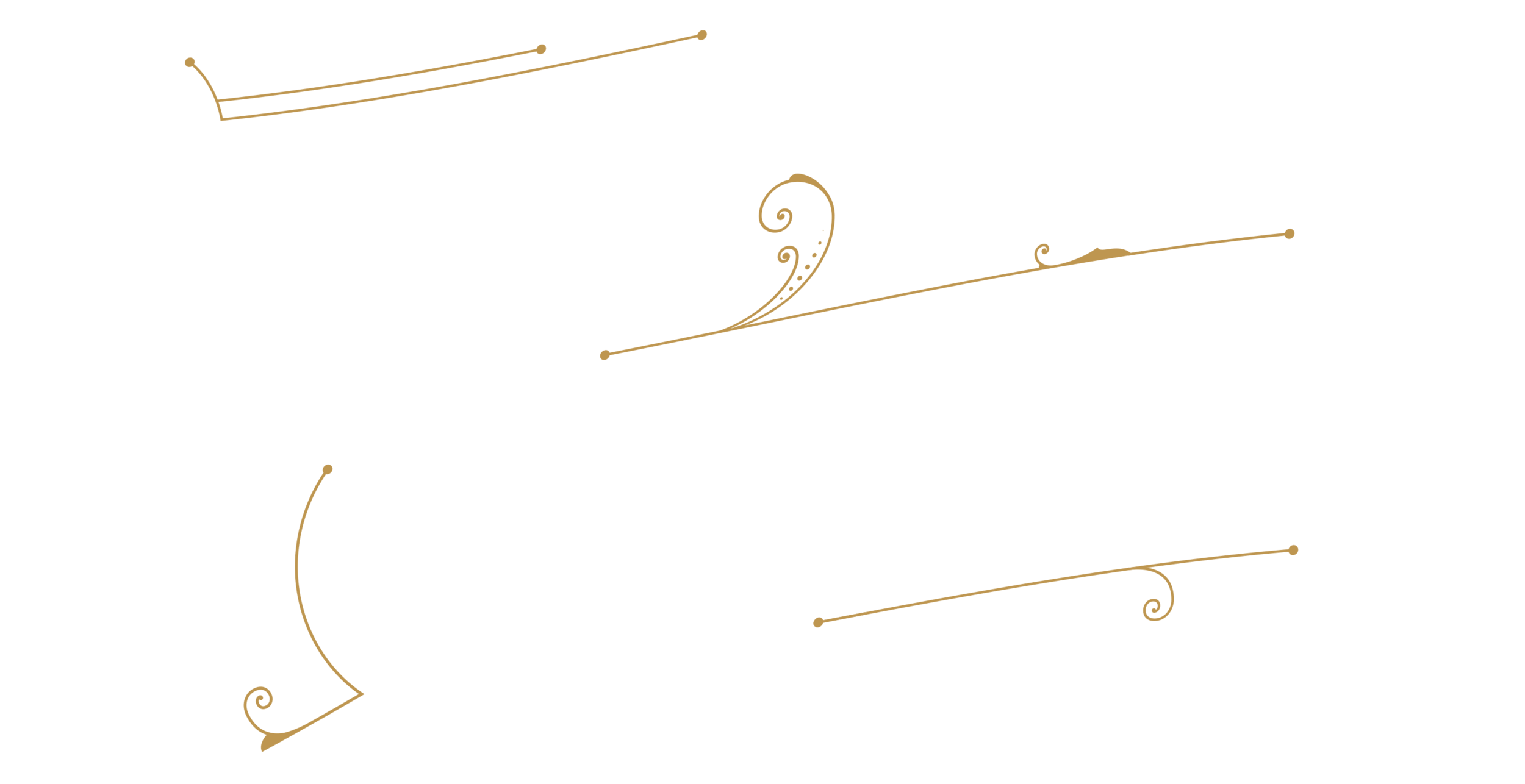 About — Lucey Quarter