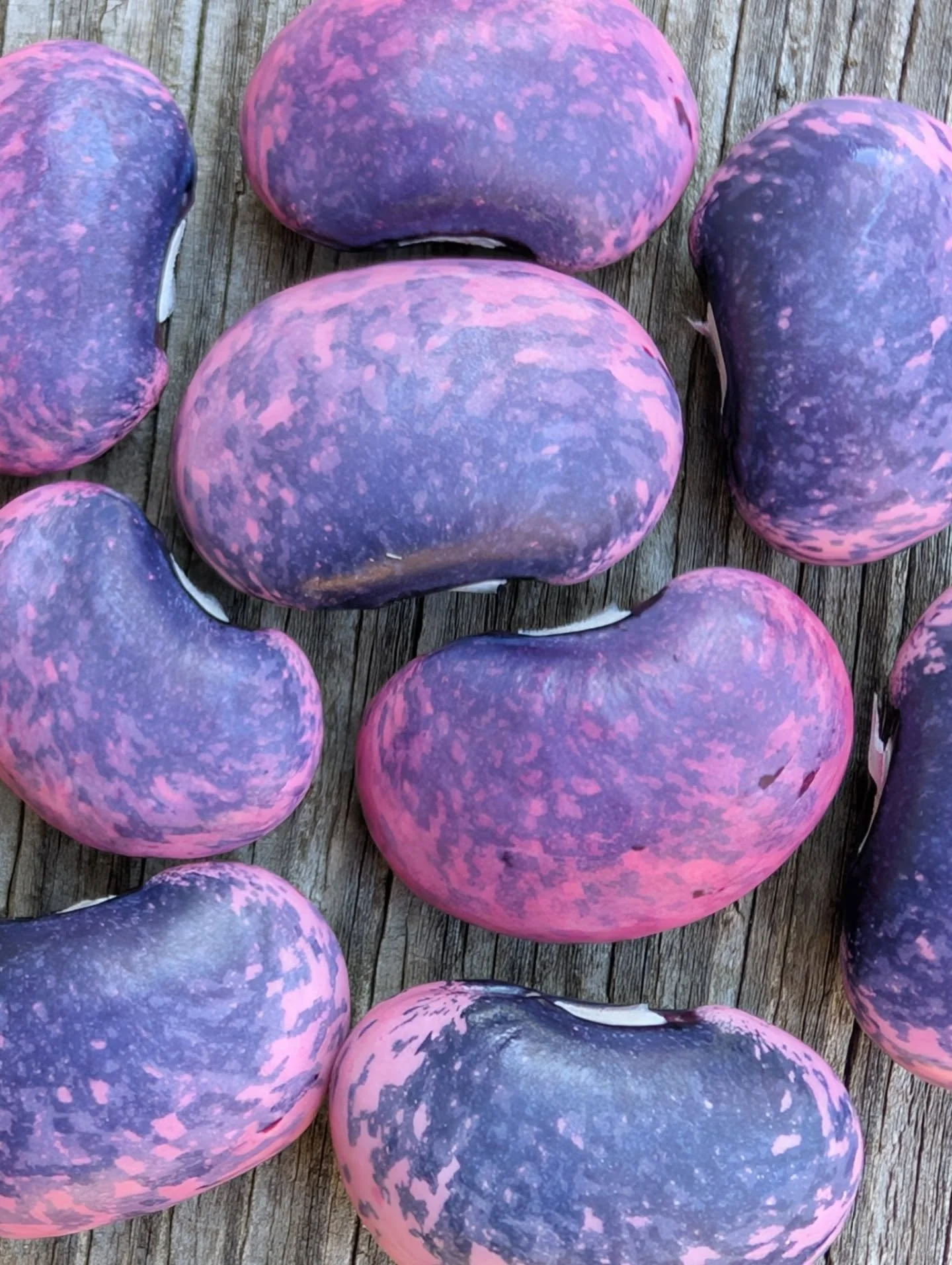 Recently from my camera roll ❇️ Obsessed with the magic beans! 🫘