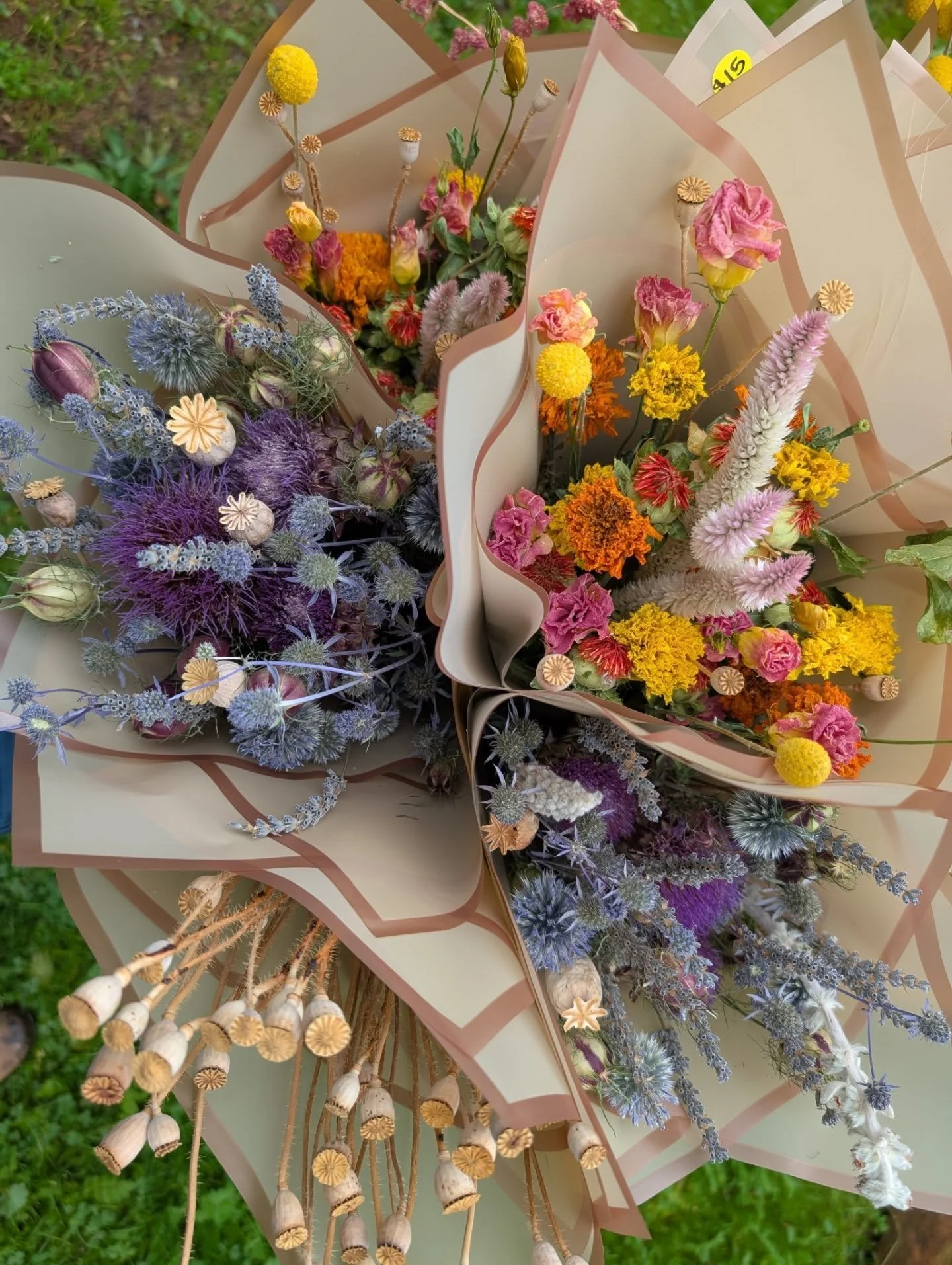 Some recent dried flowers ❇️