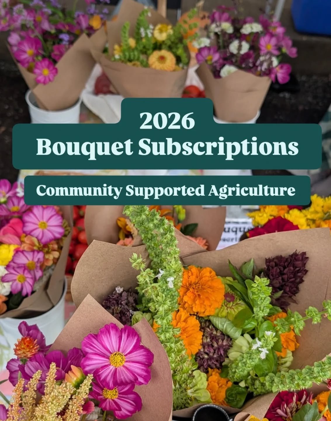 2026 CSA Bouquet Subscriptions are open! ❇️
I'm really excited to be able to offer bouquet subscriptions in the 2026 growing season. There are 4-week and 8-week options, with all the information on my website. With every purchase of a subscription yo