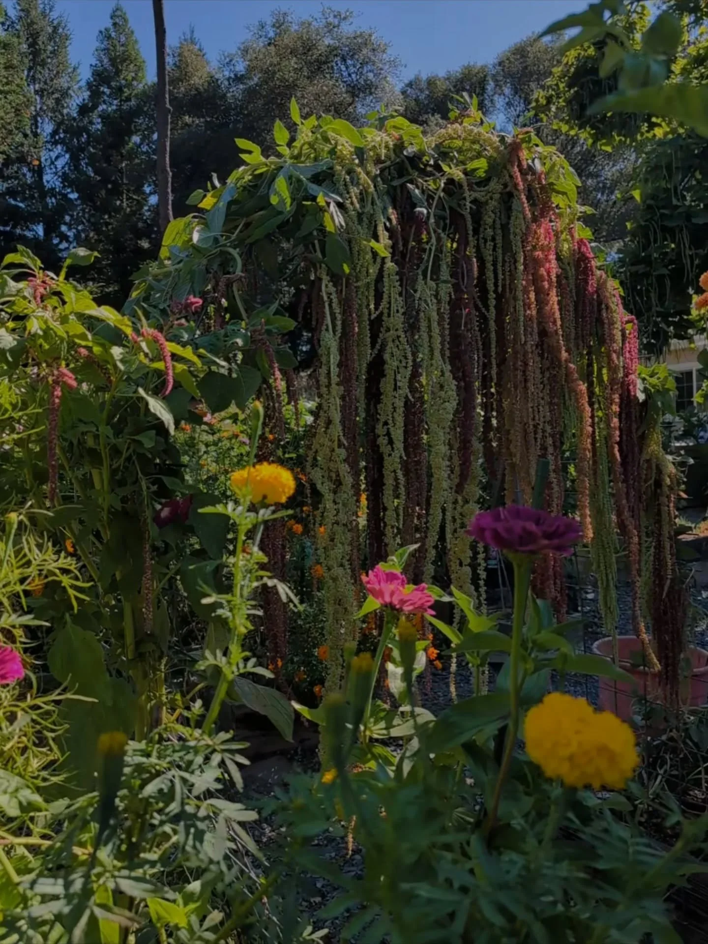 Summer 🌞 Winter ❄️ Summer 🌞 Winter ❄️