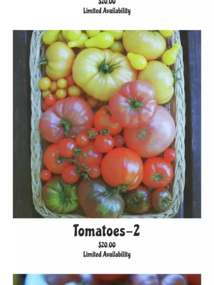 Prints are live! Check them out on our website!
✳️
I shot these photos on my 35mm film camera in our garden. The prints are 8x10 matted with white to fit an 11x14 frame. This is a super limited run so get them while you can!