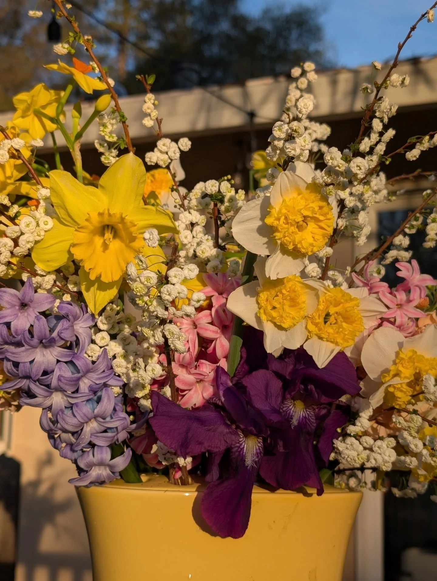 Bouquet from a couple days ago. I've missed fresh bouquets!