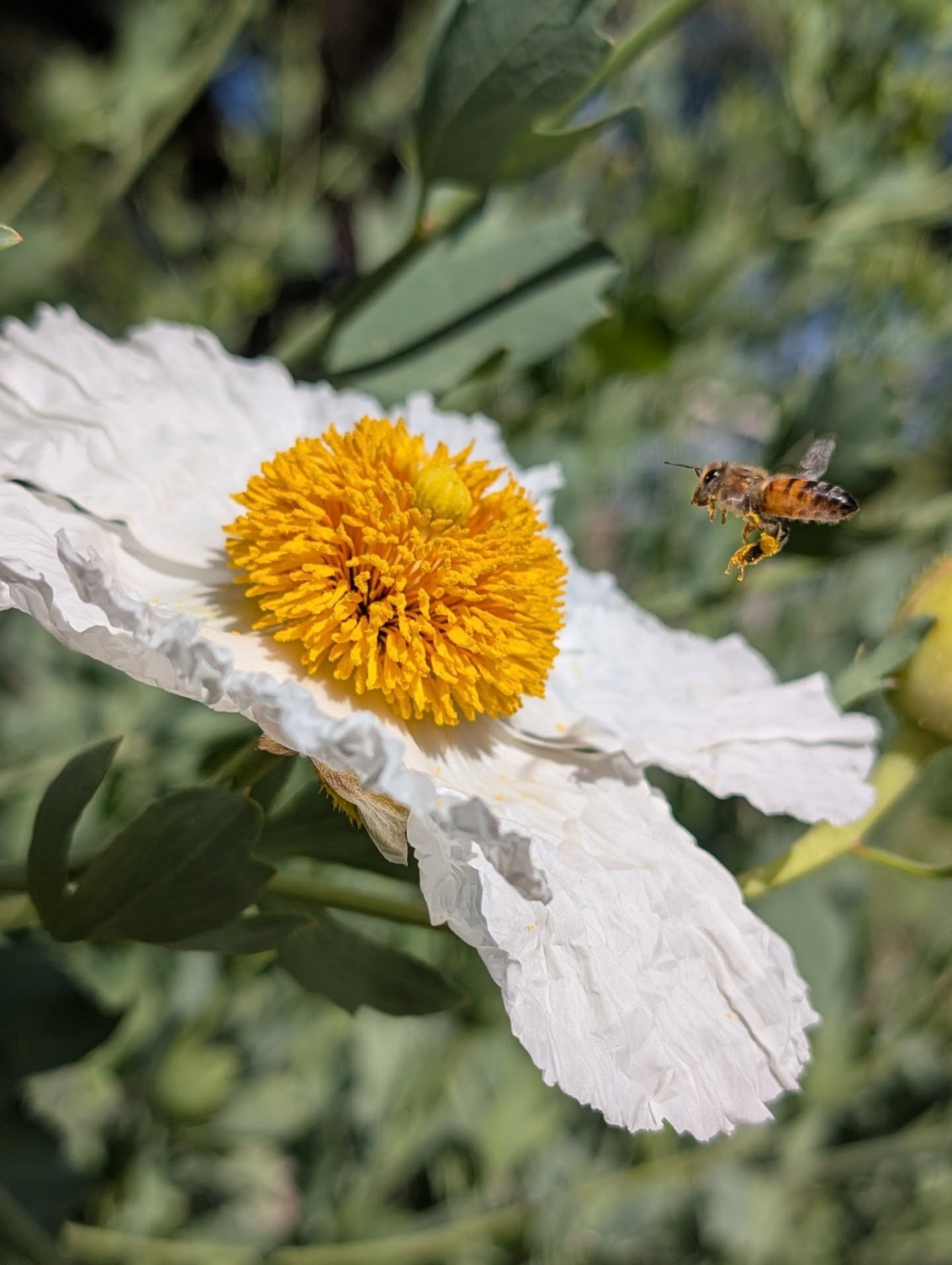 Always grateful to be working with dirt and sun and bugs and things that come from the dirt and sun. Happy Earth Day!
