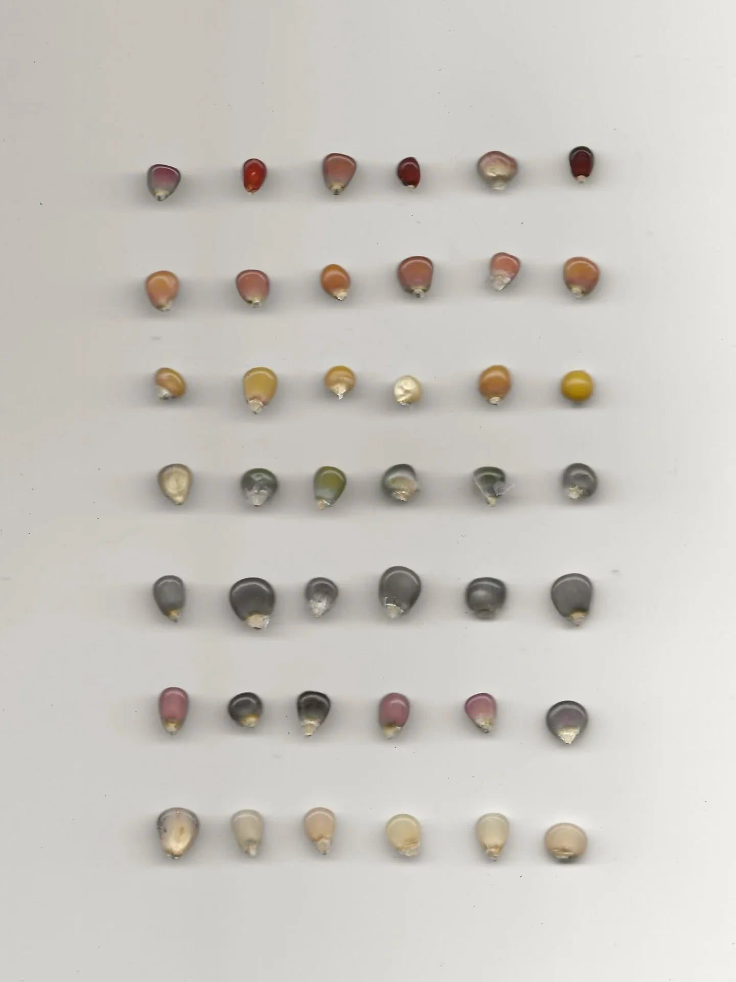 Playing with glass gem corn again