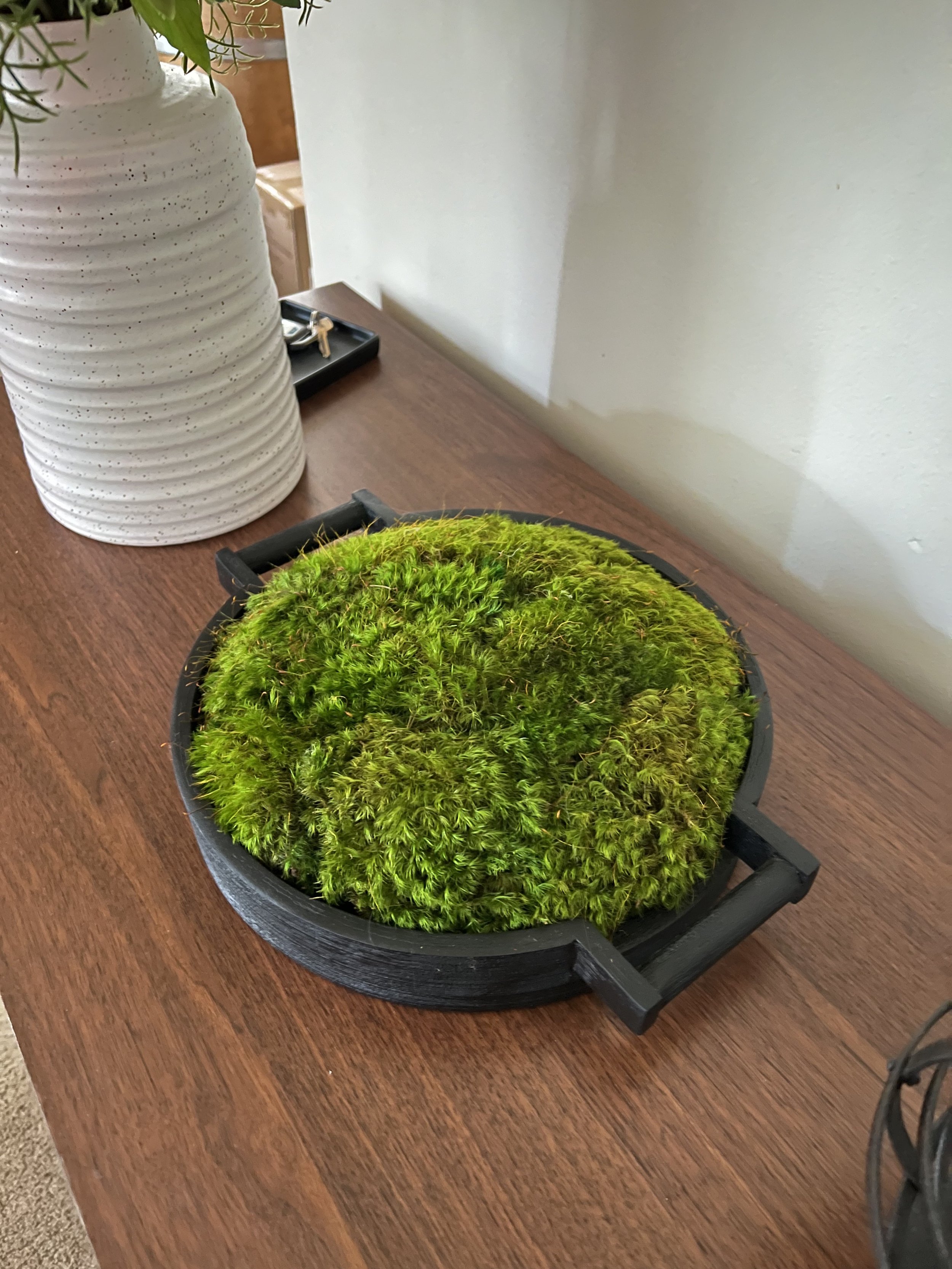 Small black wooden tray with preserved moss arrangement, 14"×12"