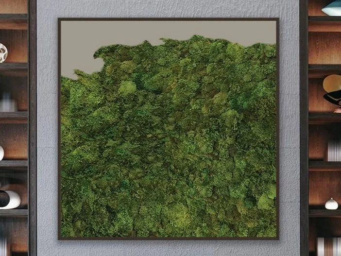 Framed artwork or photograph of dense, preserved green moss, hung on a wall between two wooden shelves.