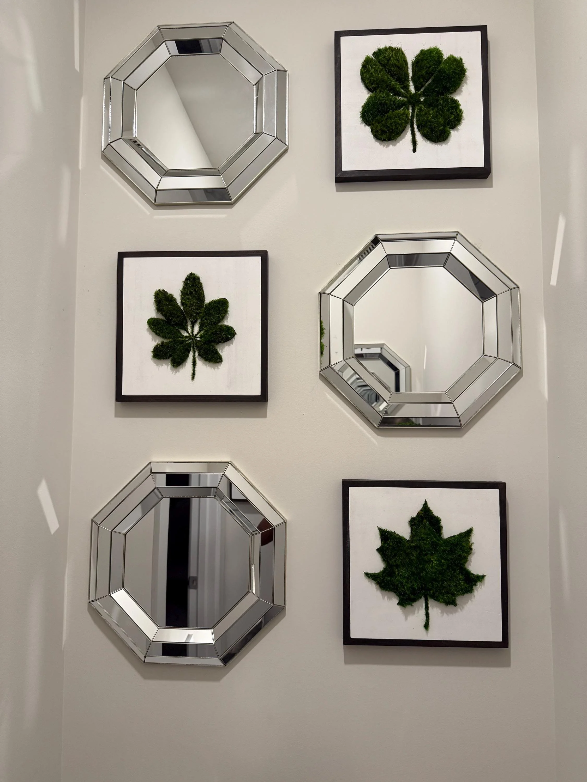 Preserved moss wall art installed in a private home in Ellicott City, Maryland