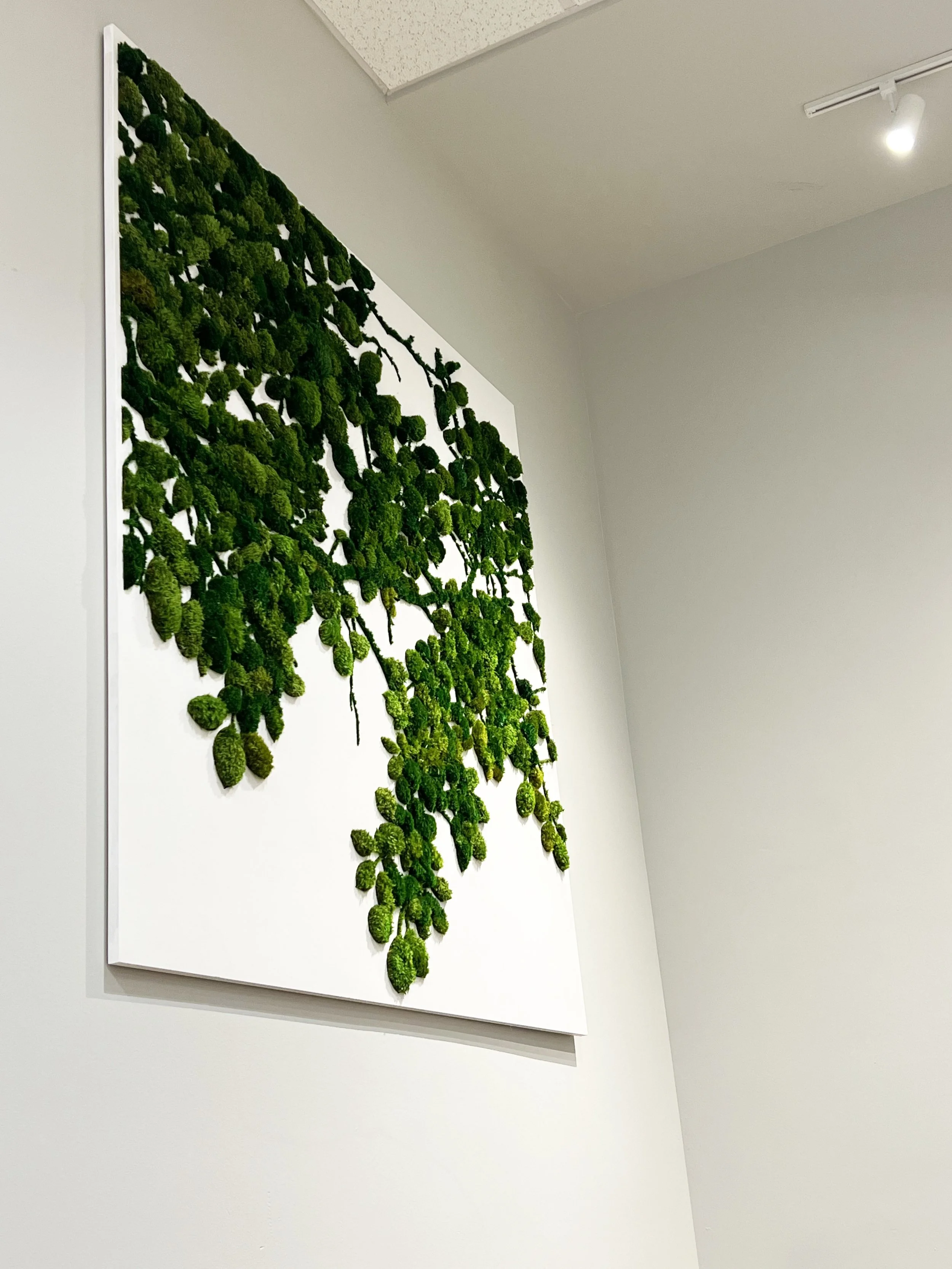 Preserved moss art installation at Sushi Kudasai restaurant in Seattle