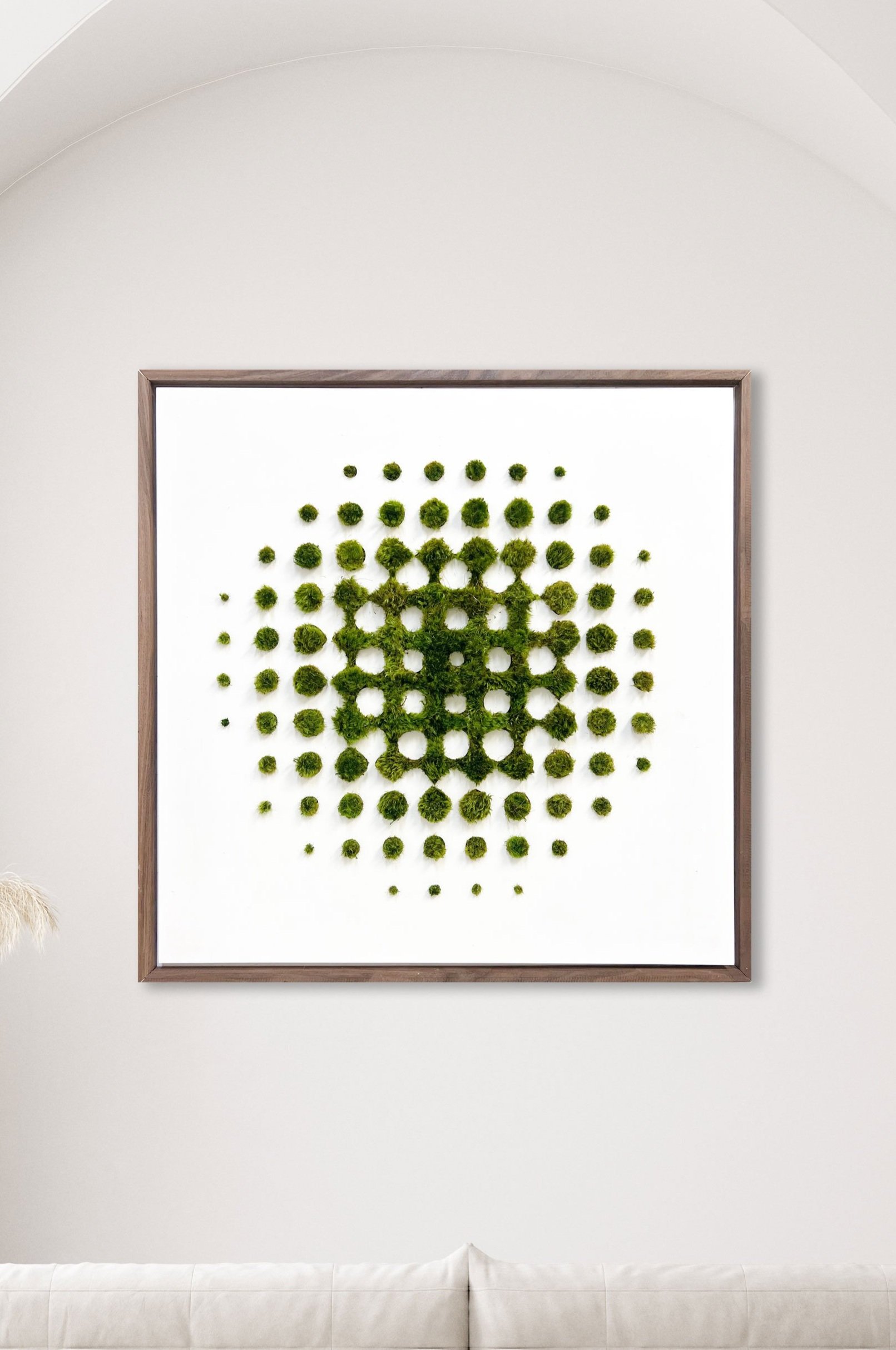 A framed piece of art consisting of green moss arranged in a pattern of circles on a white background, mounted on a white wall.