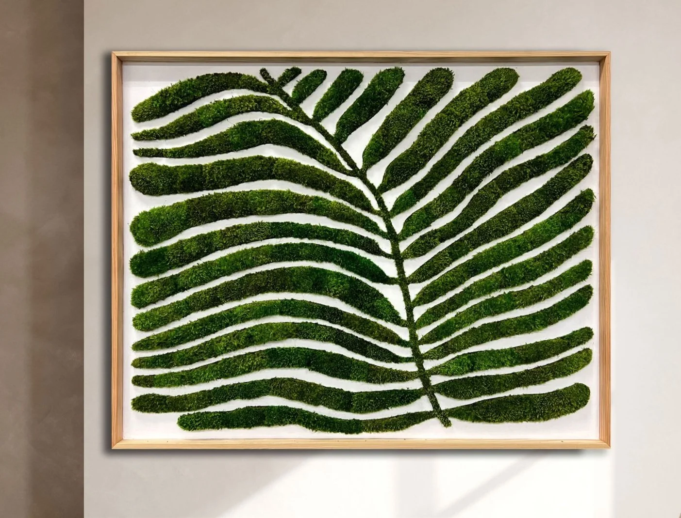 Artwork of a green fern leaf made from preserved moss on a white background, framed in wood.