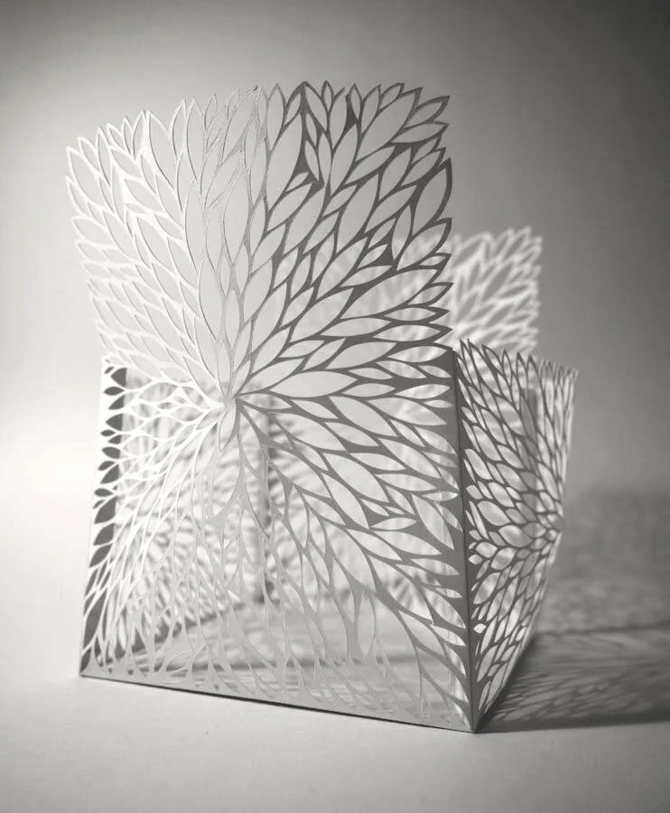 Delicate Growth, 2013
Hand-cut paper, 5.5″ x 4″ x 4″