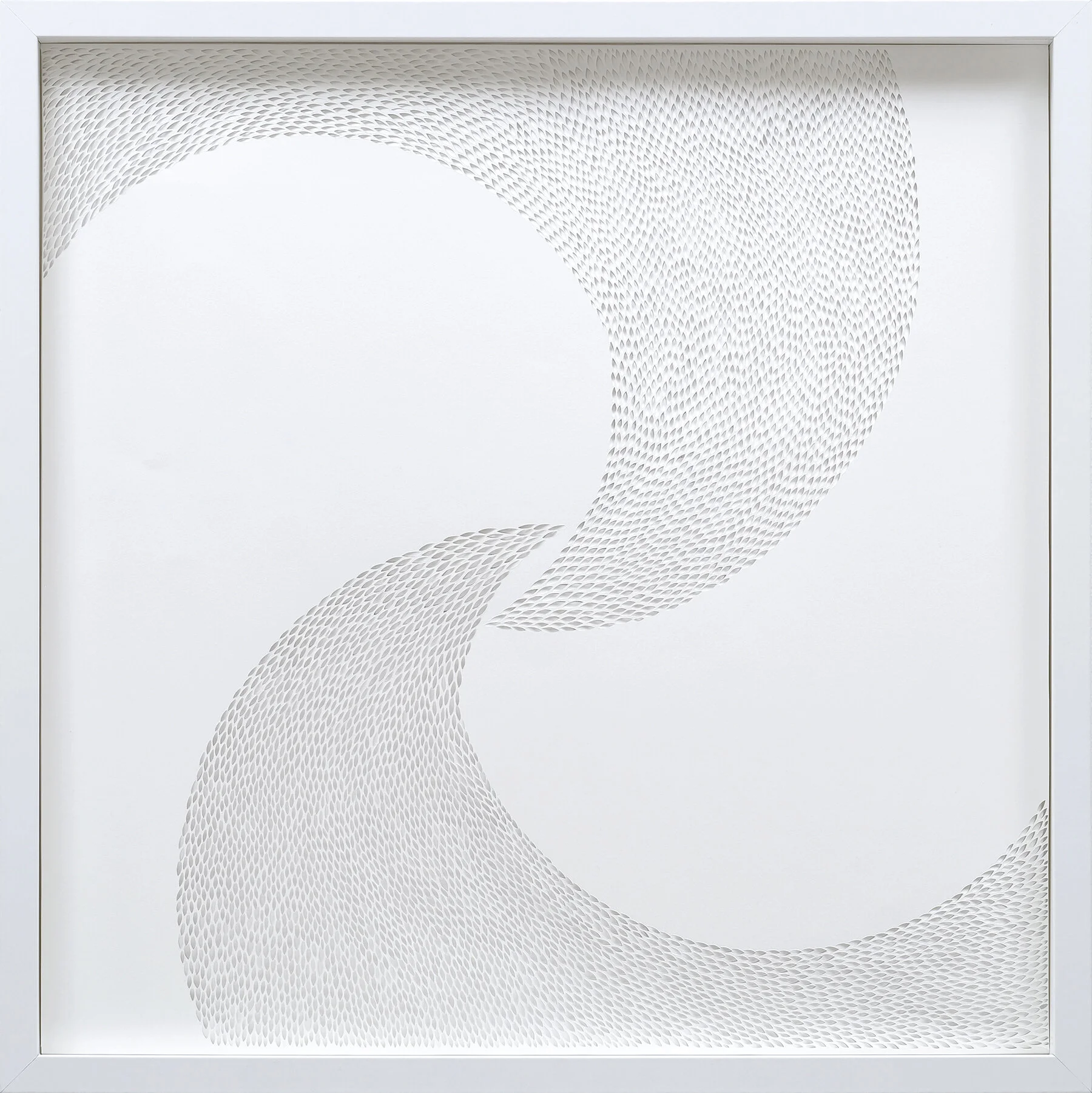 Murmuration, 2016. 20 x 20 inches
Hand-cut paper (Sold)