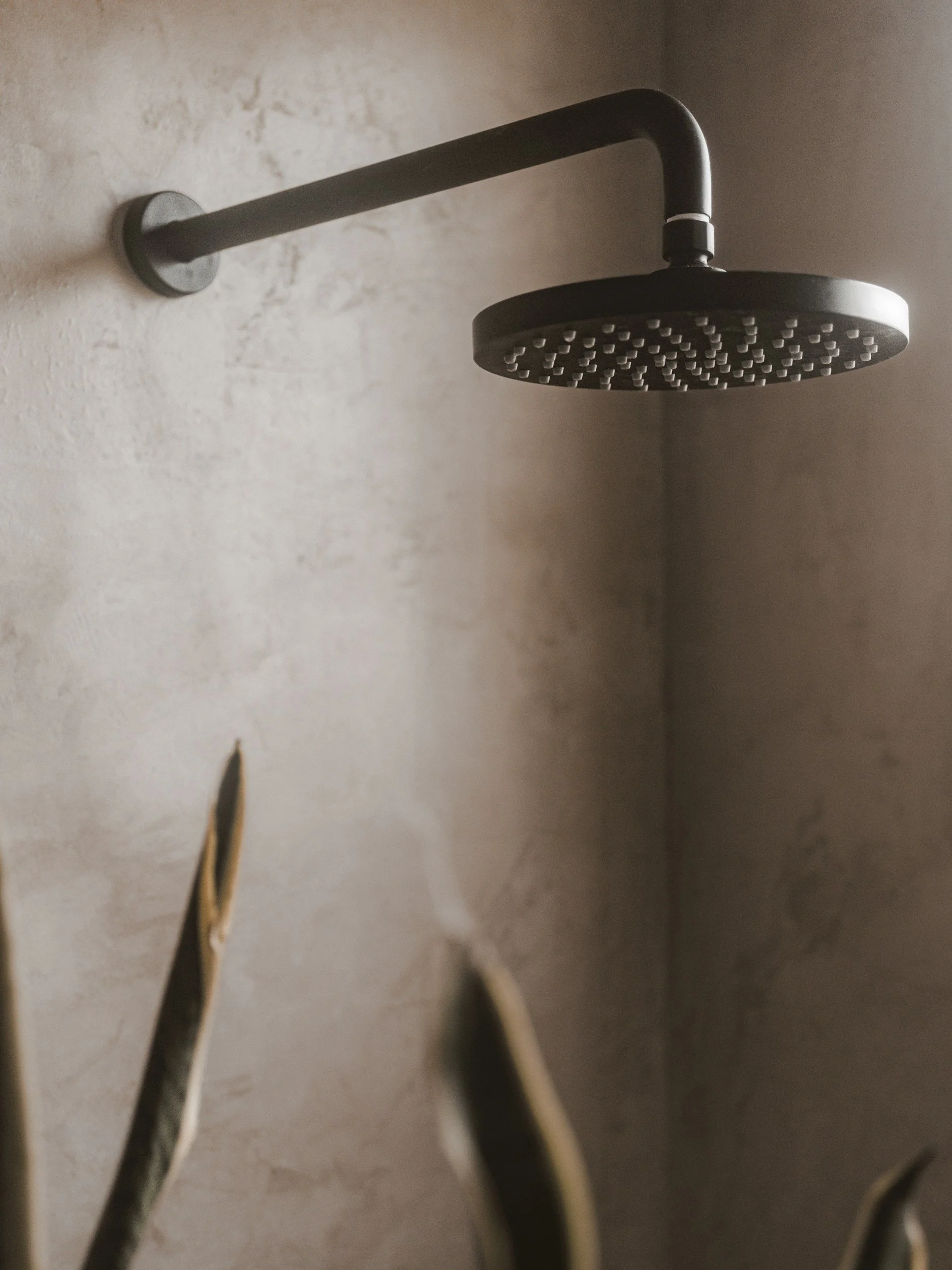modern rainfall shower head installed in a contemporary bathroom shower