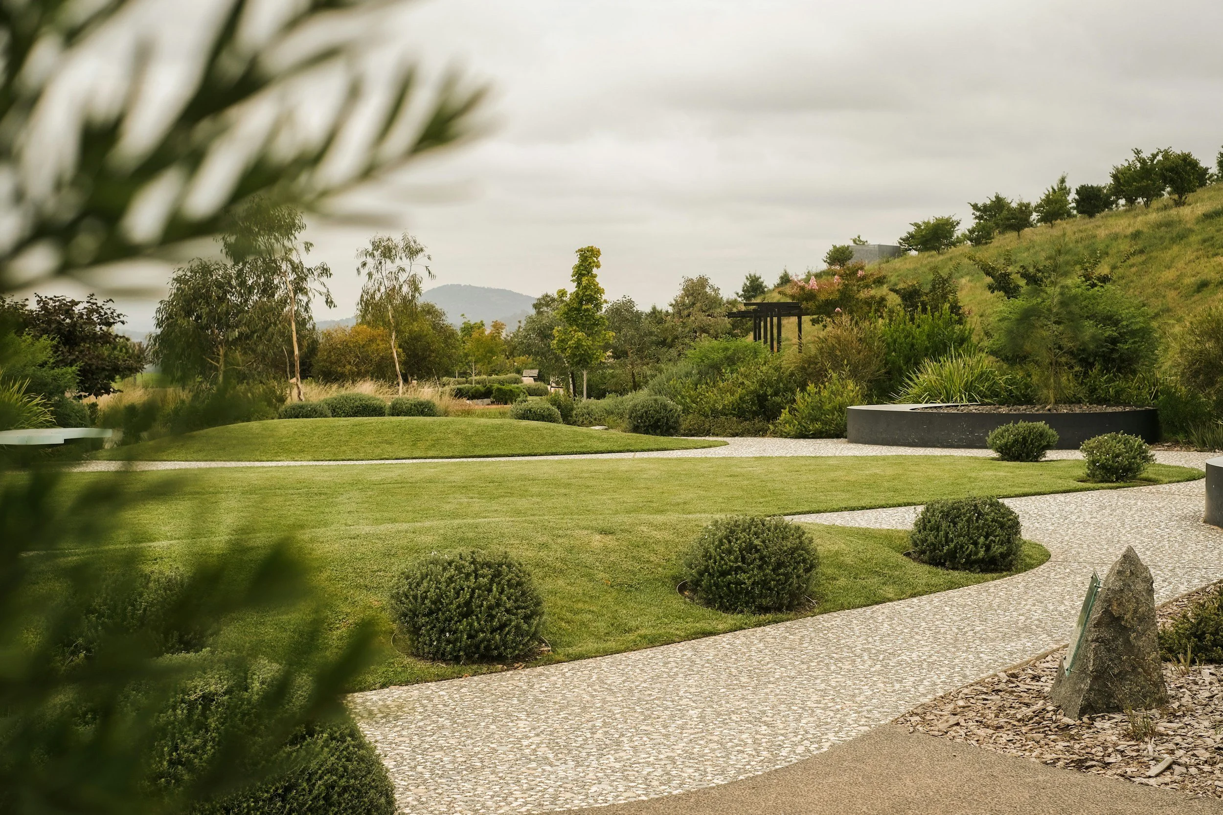 Landscaped backyard with a lawn, garden beds and trees.