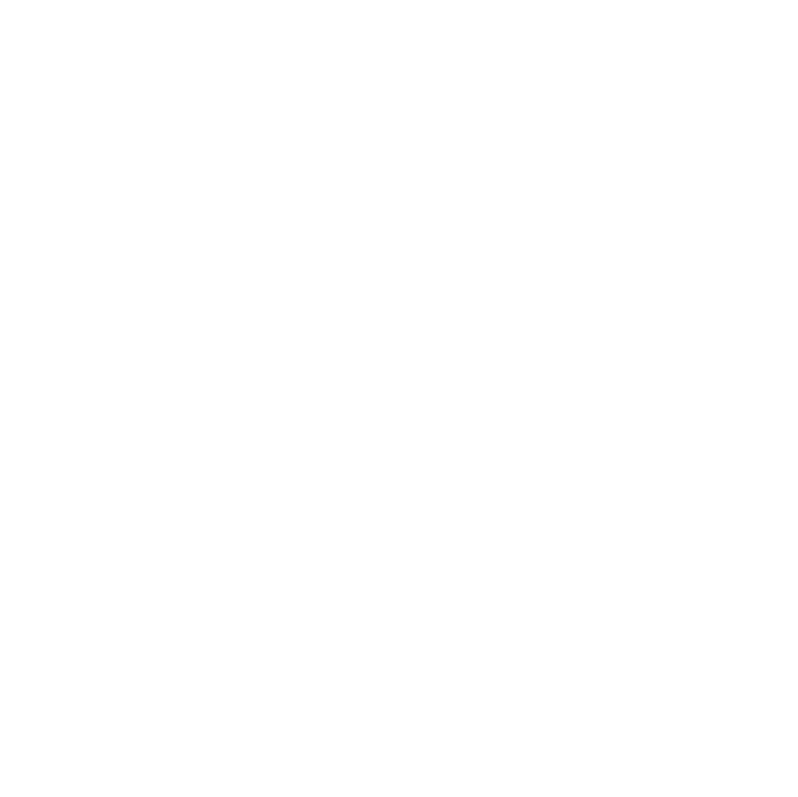 Punakaiki accommodation - TNR logo
