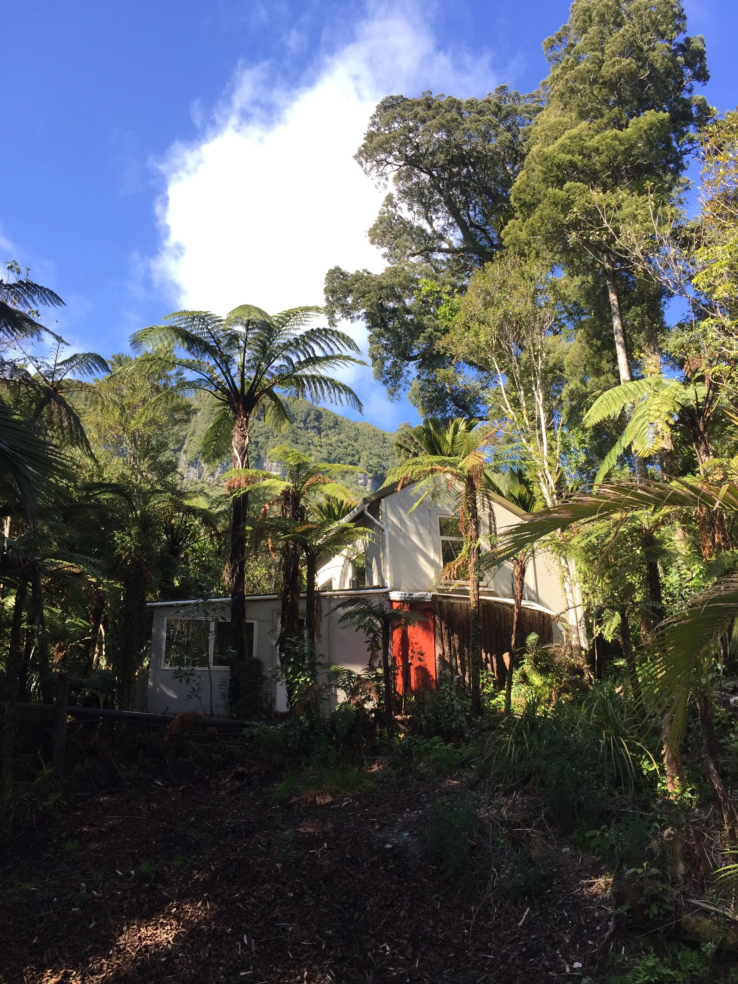 Te Nikau Retreat - Weka Lodge