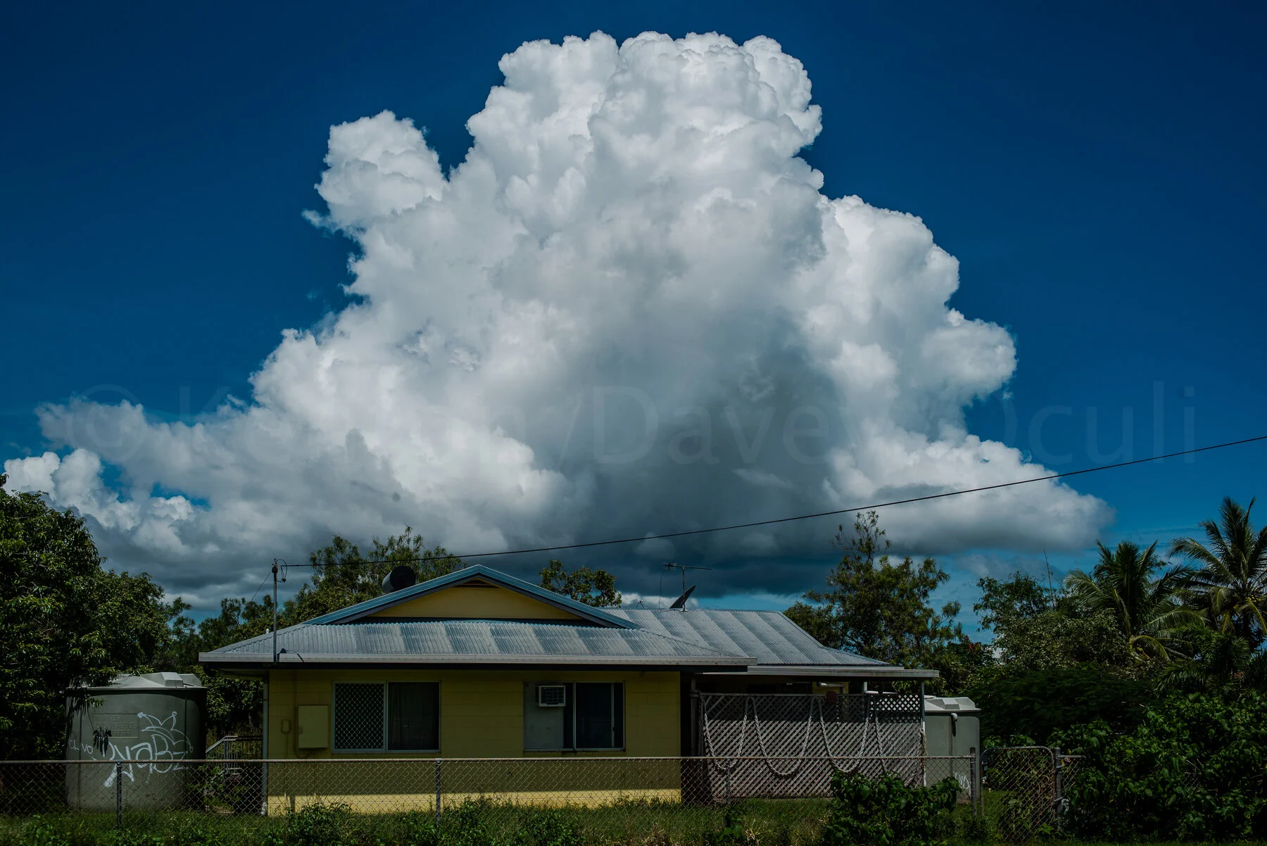 Badu Island — Oculi