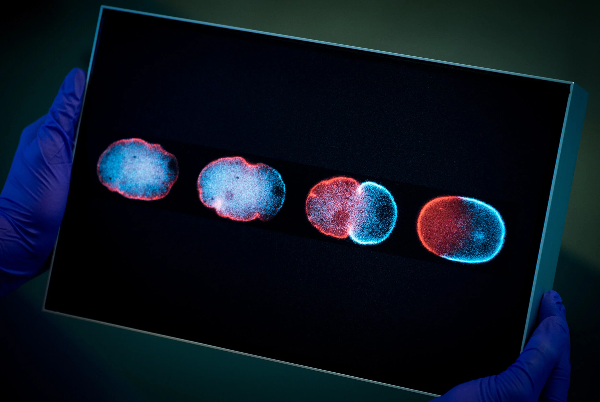 Deconstructing Patterns