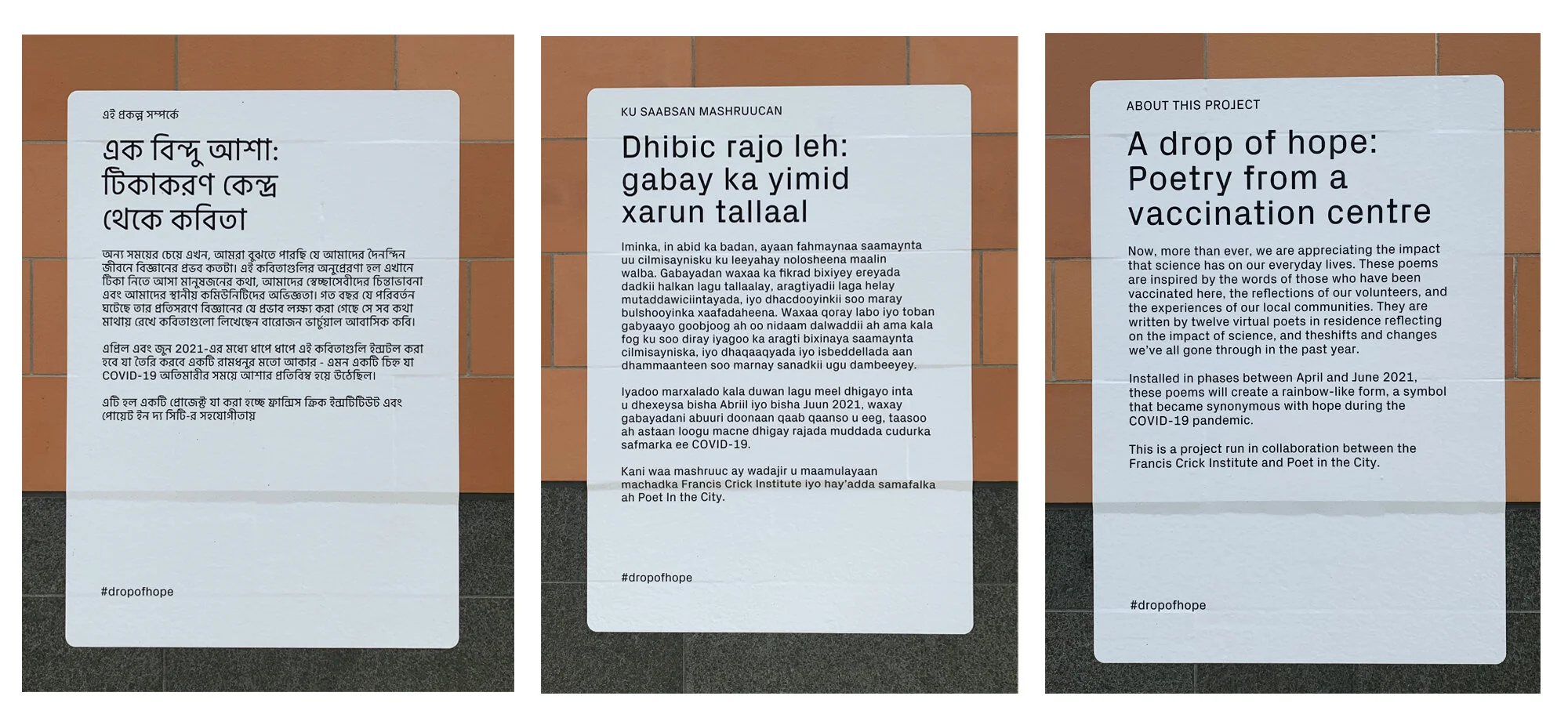 Intro text panels.jpg