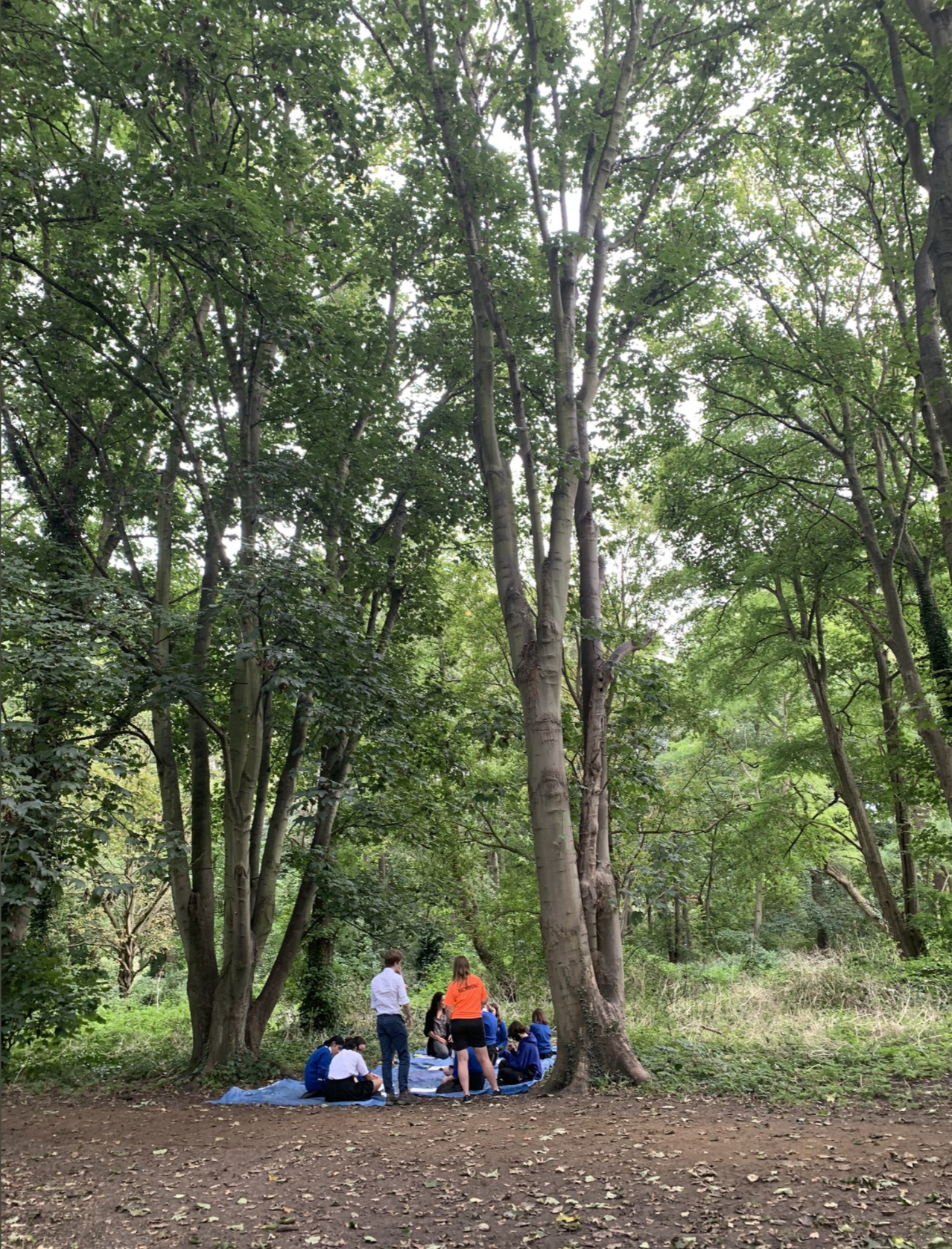 Image by waldegrave sch.png