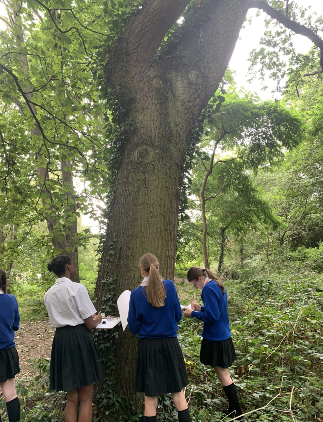 Image credit waldegrave school.png