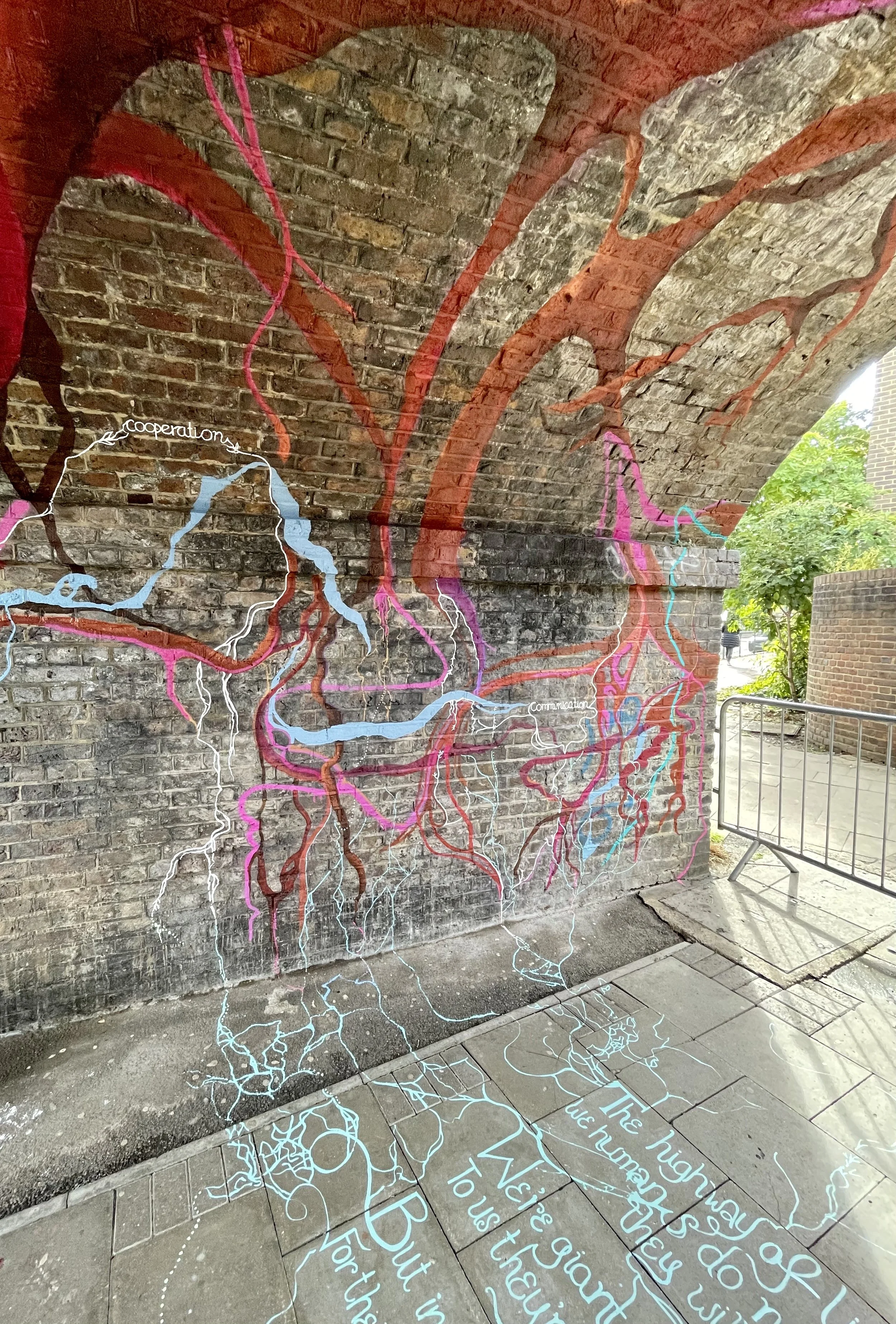 IMG_0564.jpeg