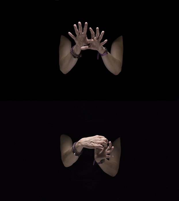Development of the Visual Circuit of Drosophila melanogaster in 3 Acts: Larva; Pupa I; Pupa II (Stills)