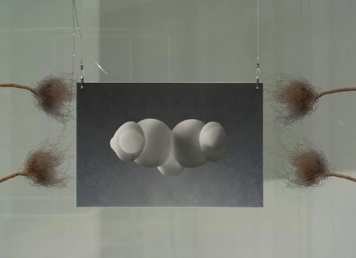 Random Precision_Countless Intimate Acts (detail)  