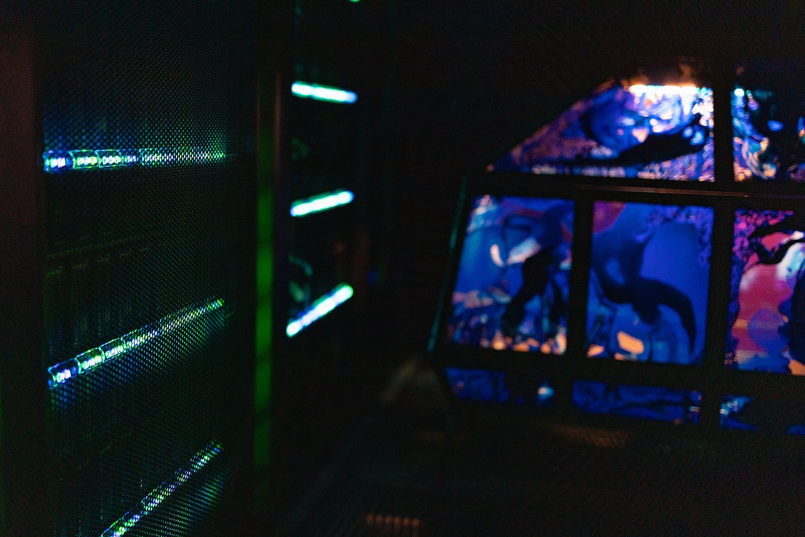Dataset_s First Dream _M9A5849 23.jpg