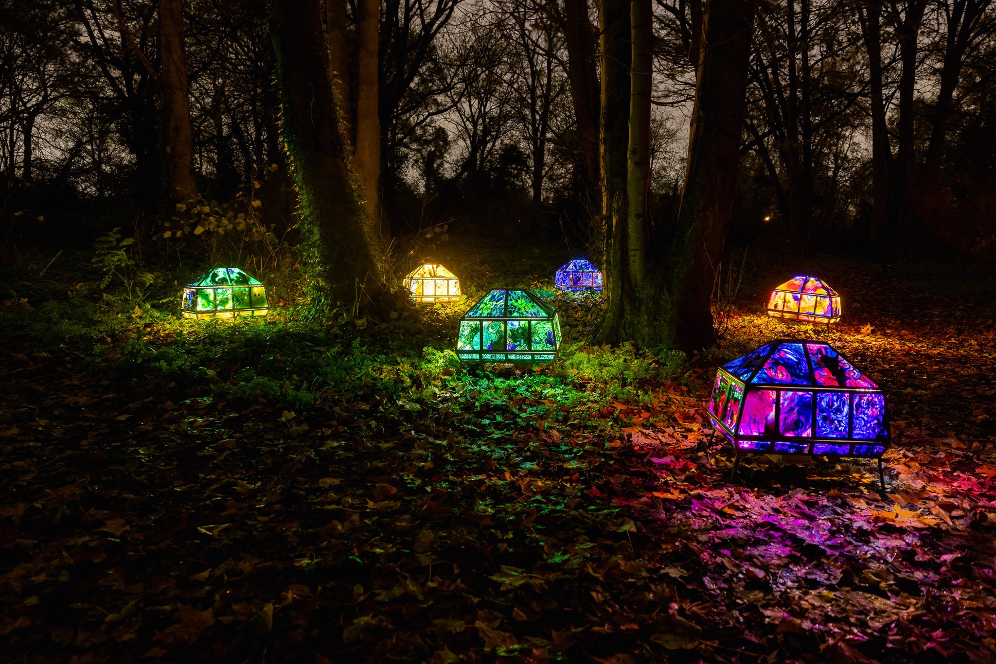 The Dataset's Dream_credit Ewelina Ruminska.jpg