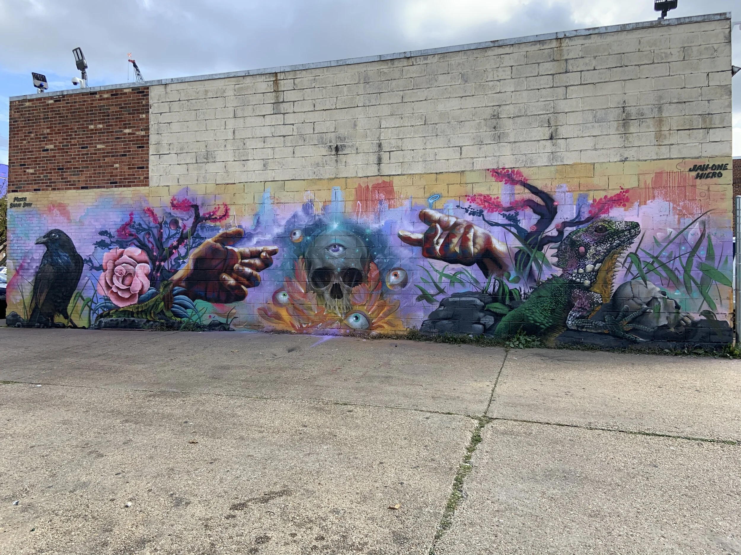 Trinidad neighborhood NE DC 2020