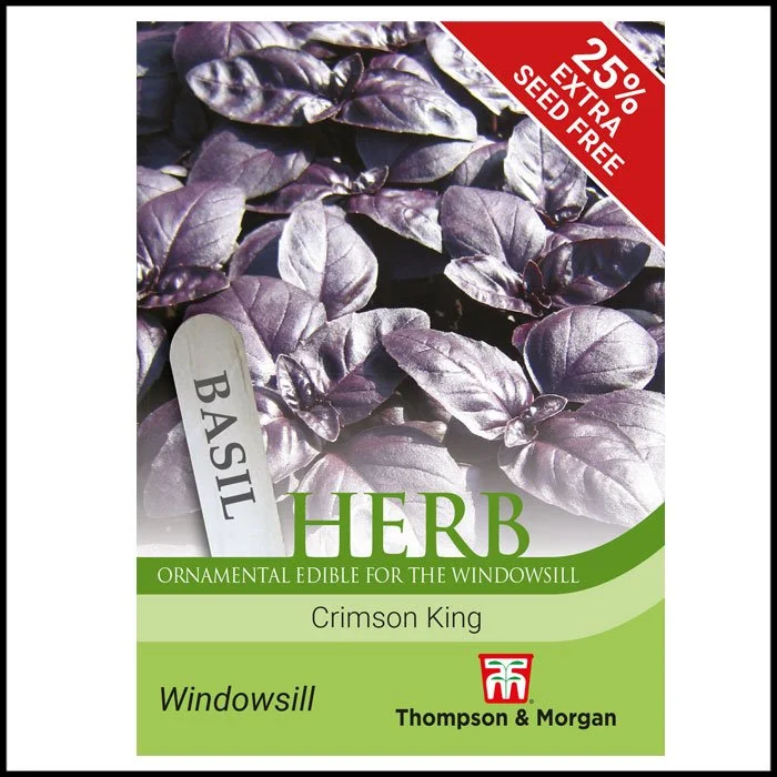 Herb - Basil Crimson King