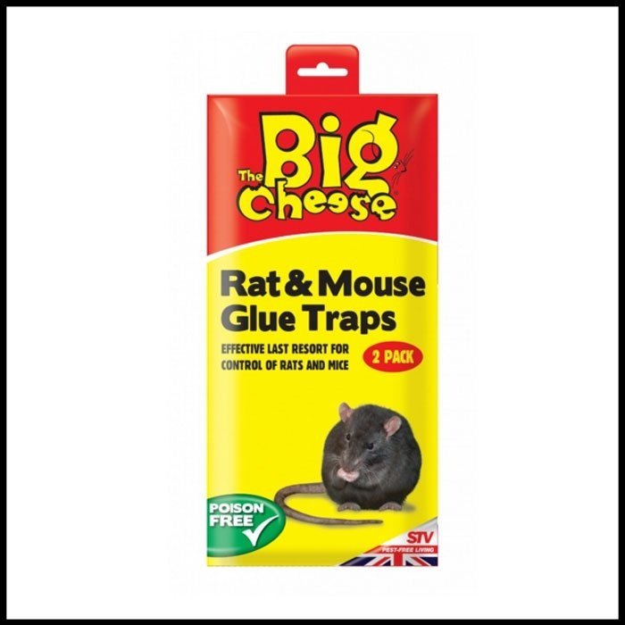The Big Cheese RTU Rat & Mouse Glue Traps - Twin pack — C Booth & Son
