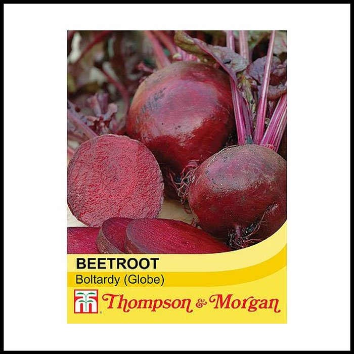 Beetroot-'Boltardy'-(Globe).jpg
