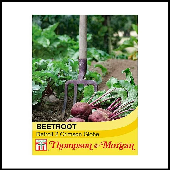 Beetroot-'Detroit-2-Crimson-Globe'.jpg