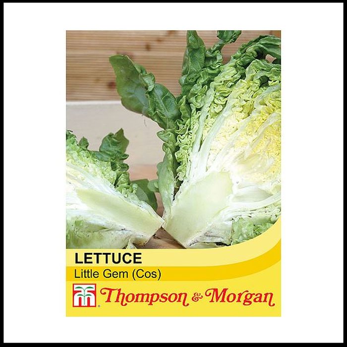 Lettuce - Little Gem