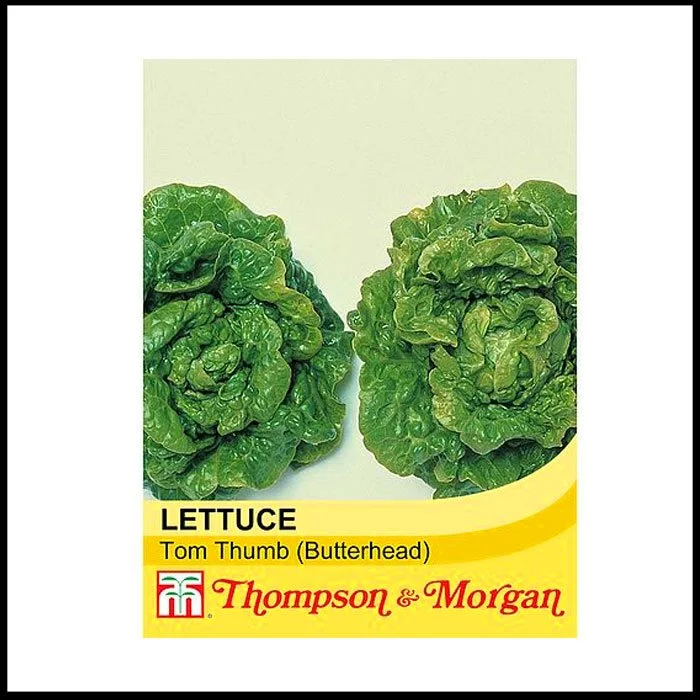 Lettuce---Tom-Thumb.jpg