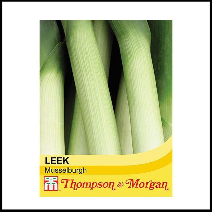 Leek-'Musselburgh'.jpg