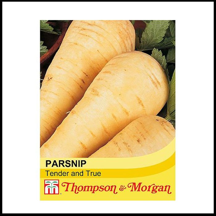 Parsnip---Tender-and-True.jpg