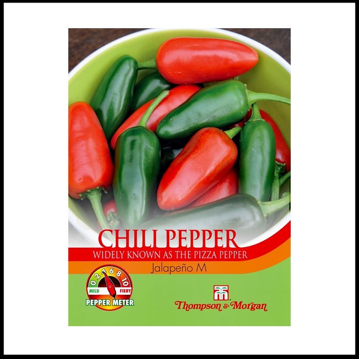 Chilli-Pepper---Jalapeno-(Medium).jpg