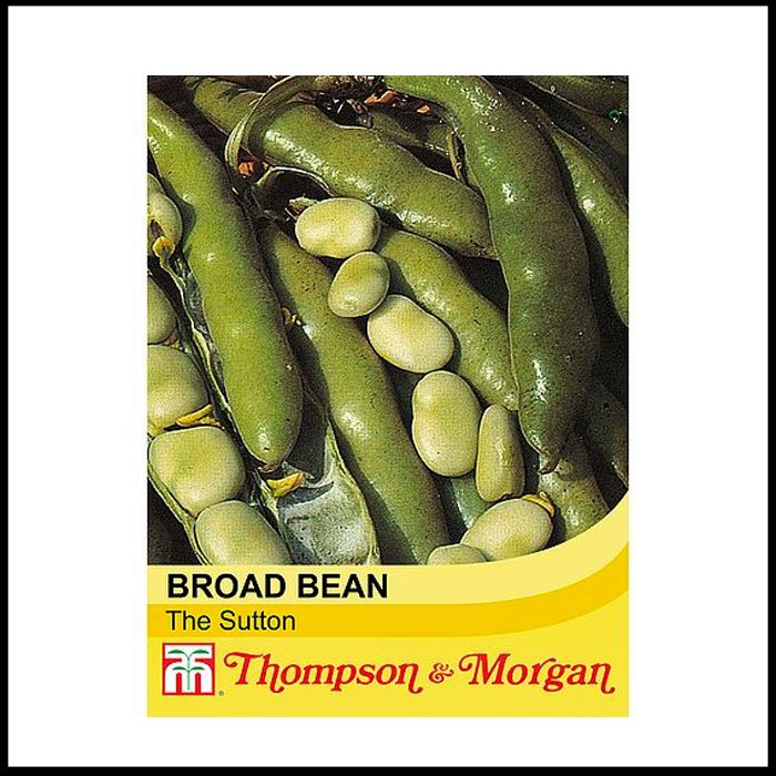 Broad-Bean---The-Sutton.jpg