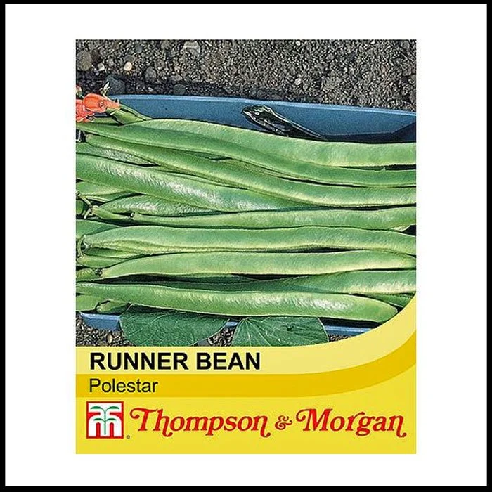 Runner Bean - Polestar