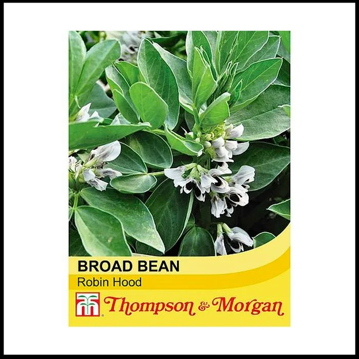 Broad Bean - Robin Hood