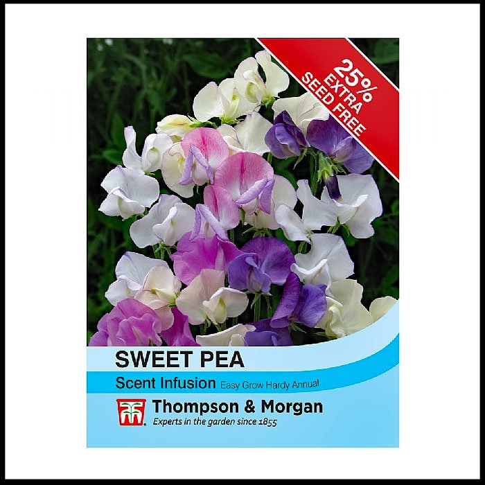 Sweet-Pea-'Scent-Infusion'.jpg