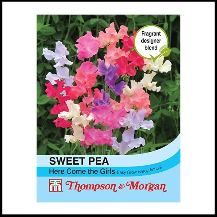 Sweet Pea - Here Come The Girls